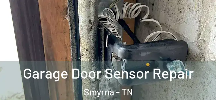Garage Door Sensor Repair Smyrna - TN