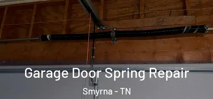  Garage Door Spring Repair Smyrna - TN