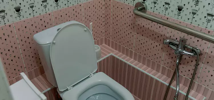 Meeting Diverse Needs With Accessible Restroom Solutions in Smyrna, TN
