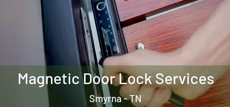 Magnetic Door Lock Services Smyrna - TN